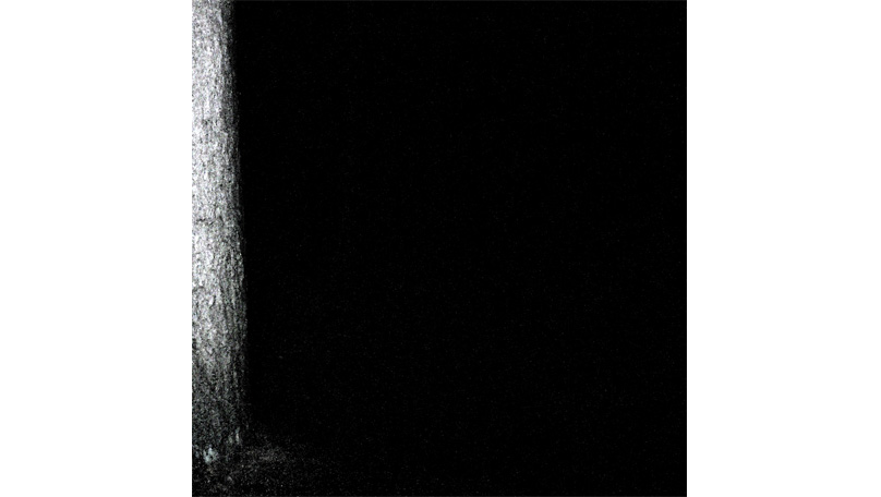 Der Wald Der Wald [© Robert Berghoff]