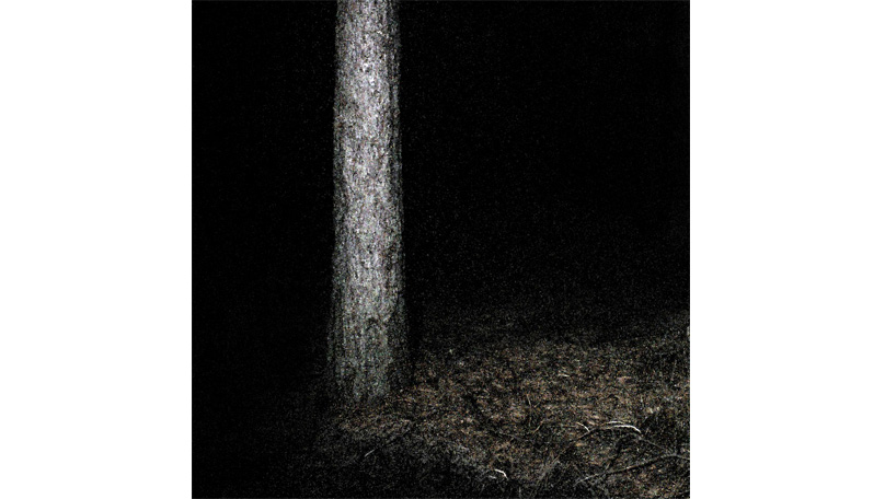 Der Wald Der Wald [© Robert Berghoff]