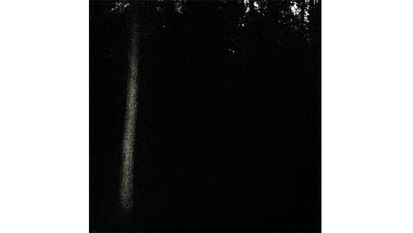 Der Wald Der Wald [© Robert Berghoff]