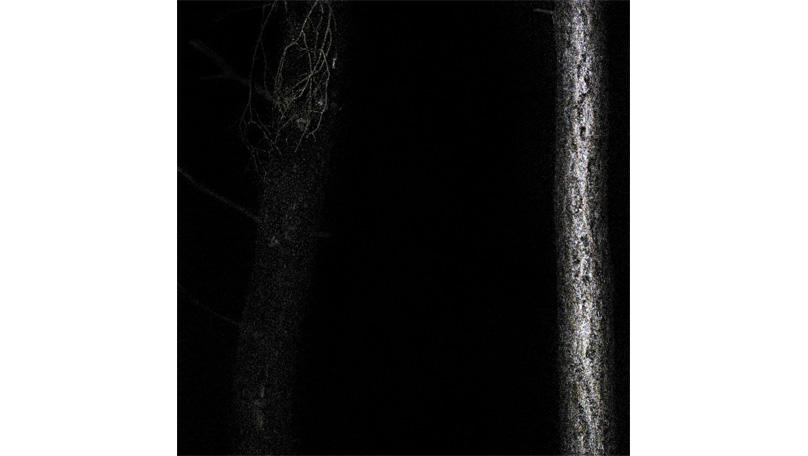 Der Wald Der Wald [© Robert Berghoff]