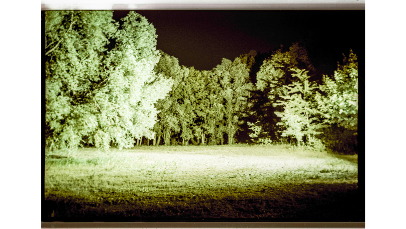 Der Wald Der Wald [© Robert Berghoff]