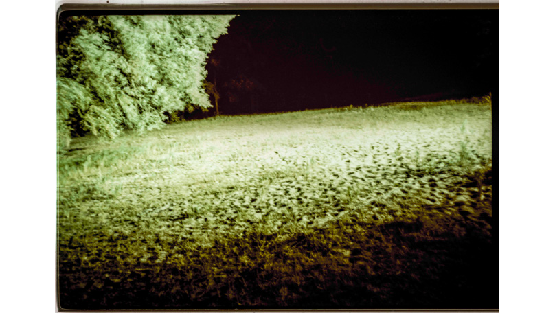 Der Wald Der Wald [© Robert Berghoff]