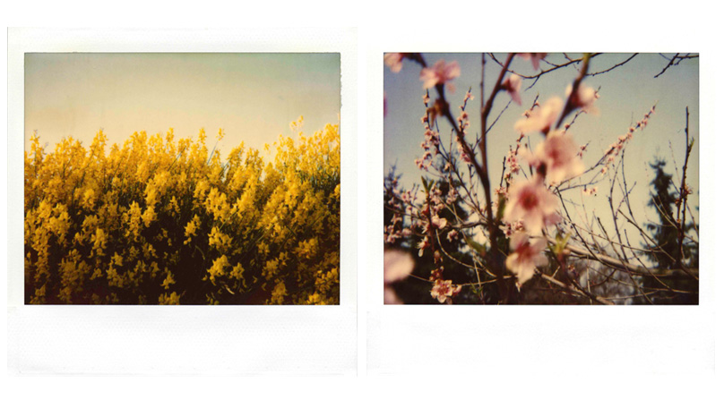 Polaroids [© Robert Berghoff]