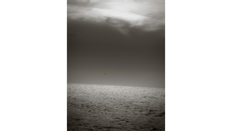 Fine Art [© Robert Berghoff]